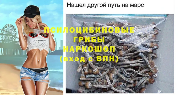 марки nbome Богданович