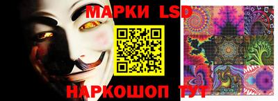 шишки Бийск