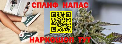 сатива Беслан