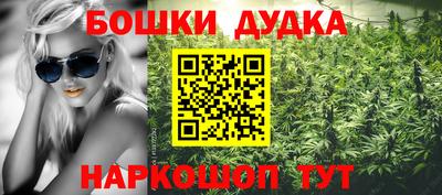 шишки Бийск