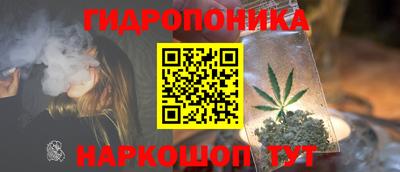 шишки Бийск