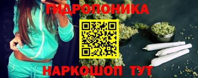 шишки Бийск