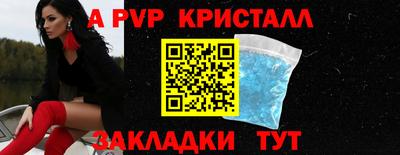 шишки Бийск