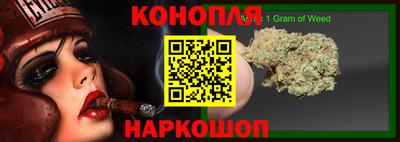 шишки Бийск
