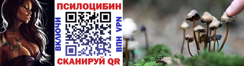 Галлюциногенные грибы GOLDEN TEACHER  Бугульма 