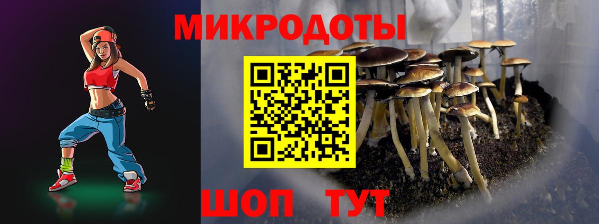Галлюциногенные грибы MAGIC MUSHROOMS  Вход с VPN  Бугульма 
